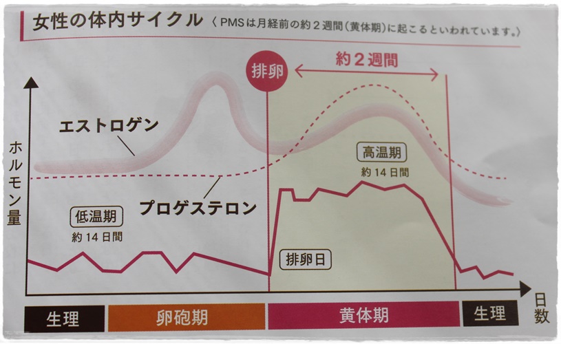 めぐルナパンフレットより